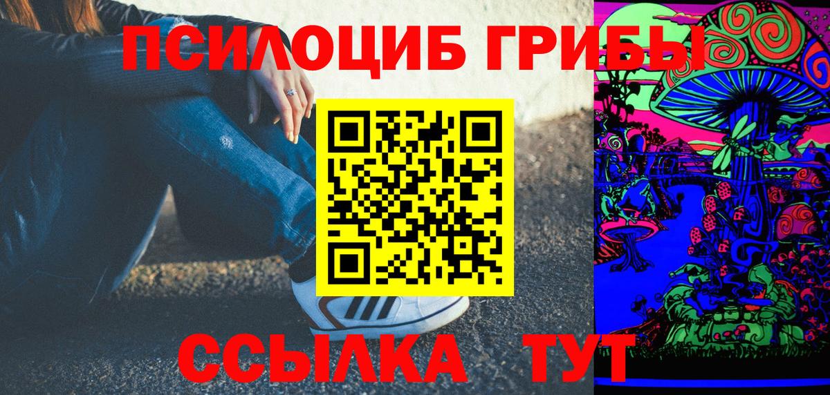 Славгород  Псилоцибиновые грибы ЛСД  Вход с VPN 