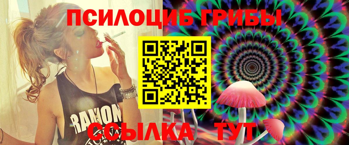 Псилоцибиновые грибы ЛСД Славгород